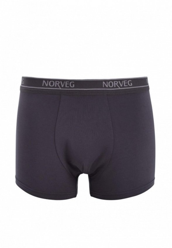 Трусы Norveg