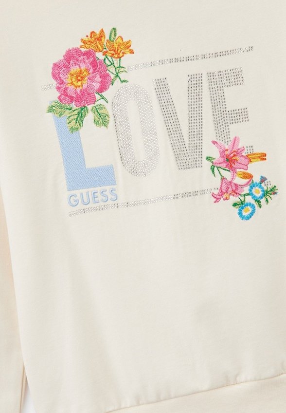 Худи Guess
