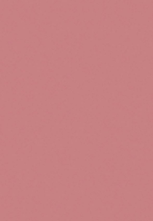 Румяна Focallure