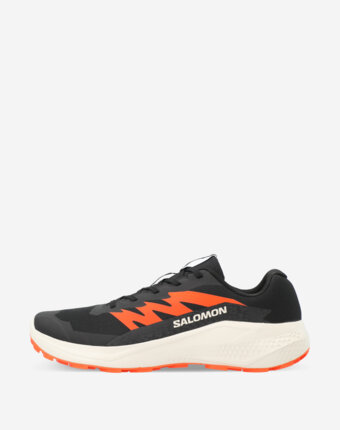 Кроссовки мужские Salomon Alphaglide, Черный женщинам