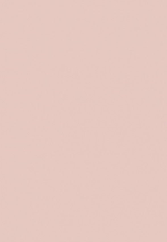 Хайлайтер Vivienne Sabo