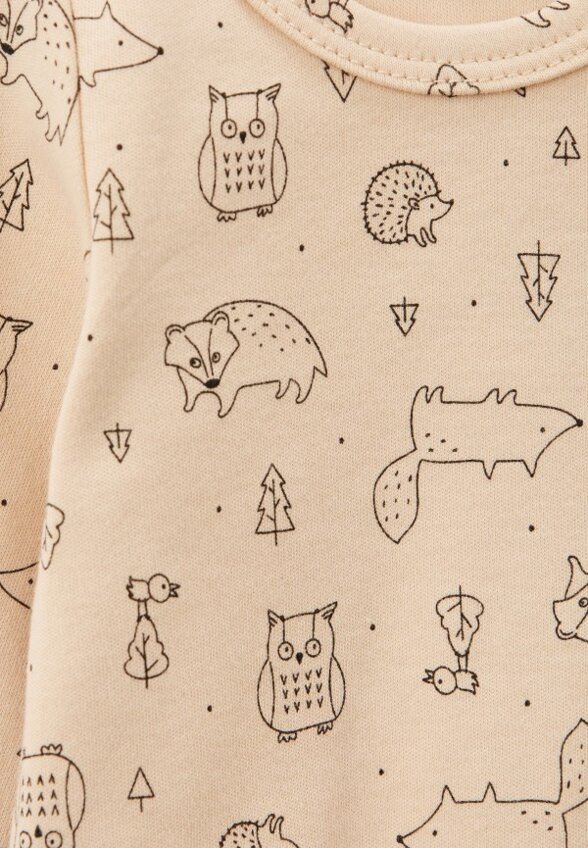 Боди 3 шт. Carrot