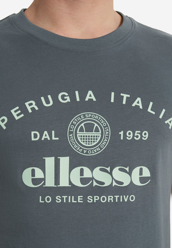 Футболка мужская Ellesse, Серый