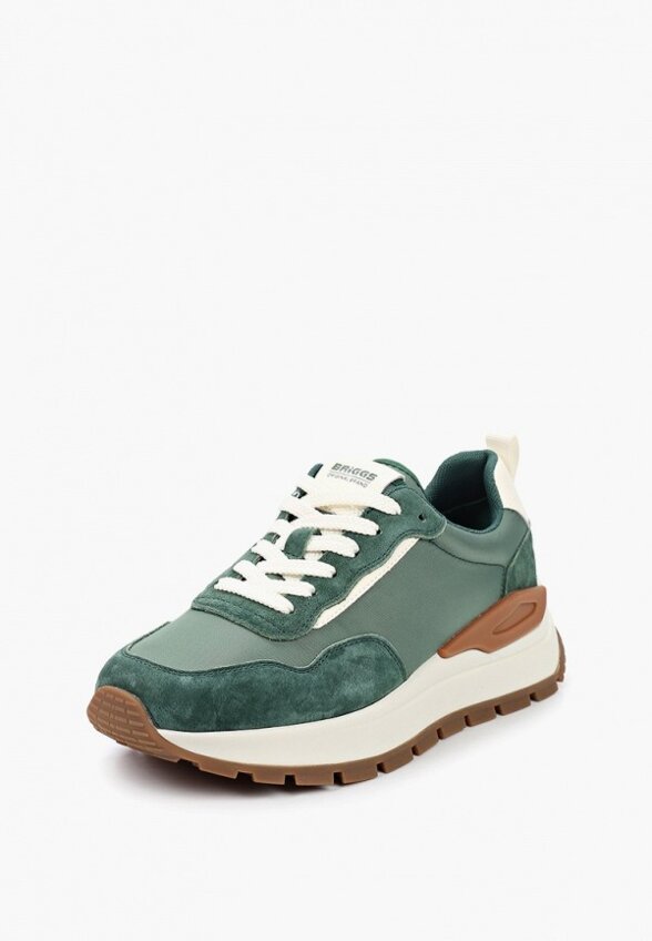 Кроссовки Briggs