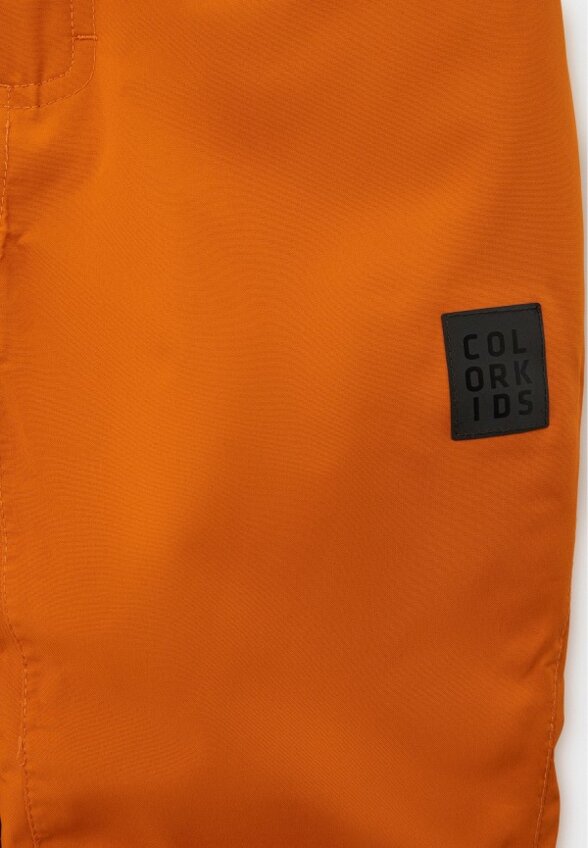 Брюки горнолыжные Color Kids