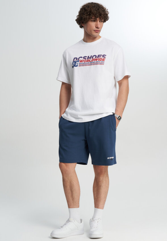 Футболка мужская DC Shoes Queltra, Белый
