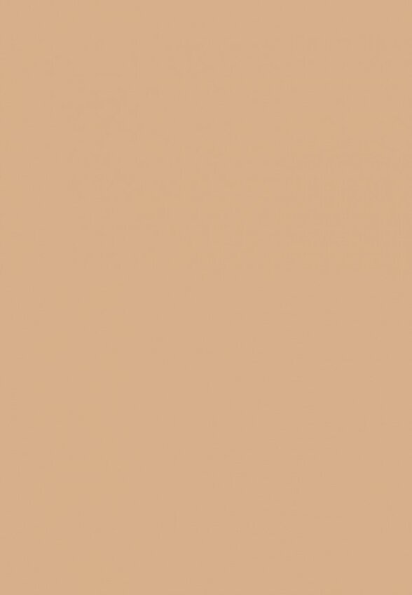 Пудра компактная Deborah