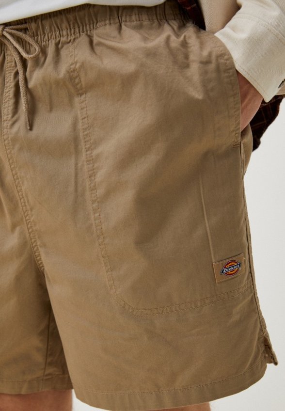 Шорты спортивные Dickies