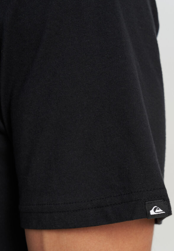 Футболка мужская Quiksilver Ev Vista, Черный