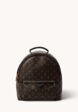 Louis Vuitton Palm Springs1  - превью