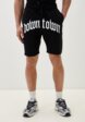 Шорты спортивные Terranova1  - превью
