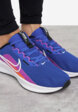 Кроссовки мужские Nike Downshifter 13, Голубой8  - превью