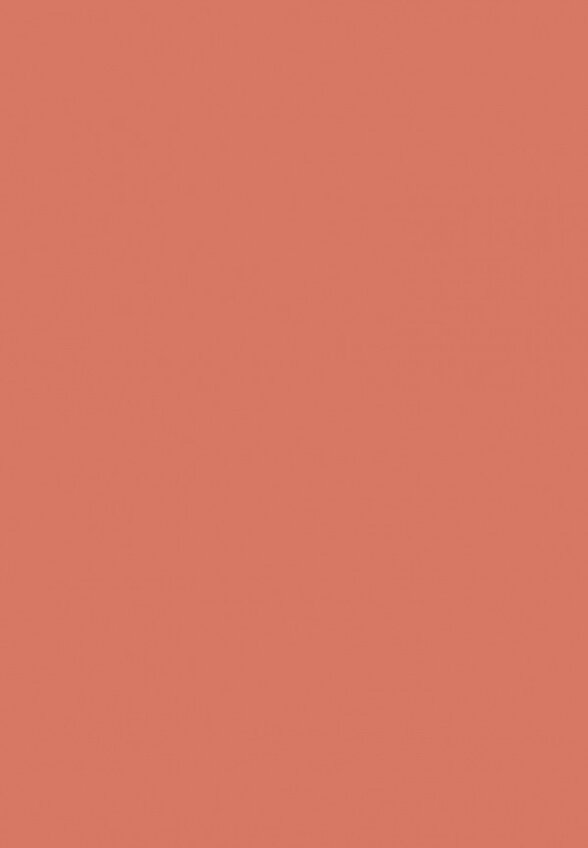 Румяна Focallure