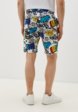 Шорты спортивные Terranova3  - превью