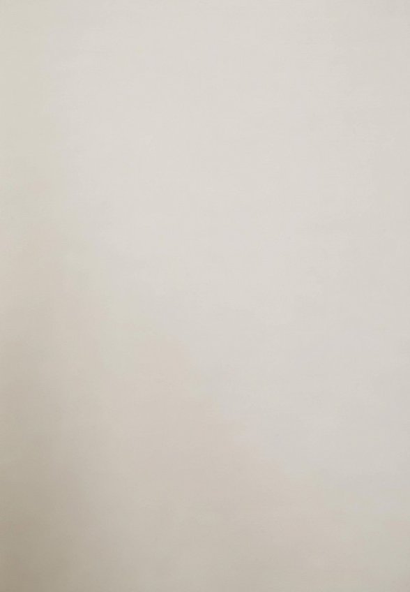 Футболка Mascotte