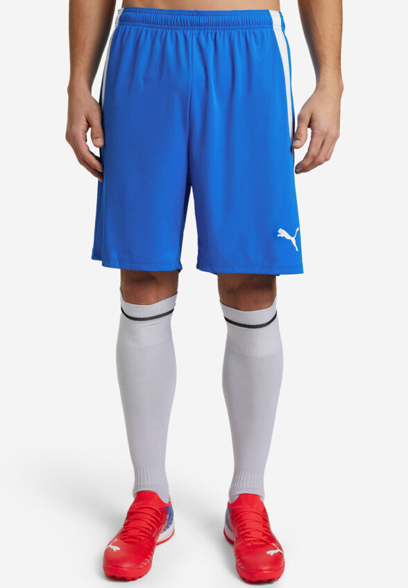 Шорты мужские PUMA teamLIGA, Синий