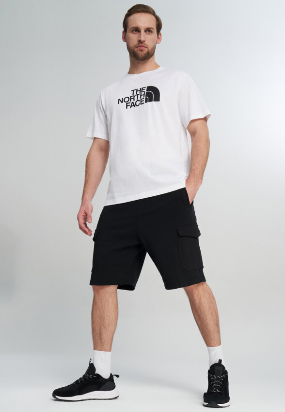 Футболка мужская The North Face Evolution, Белый