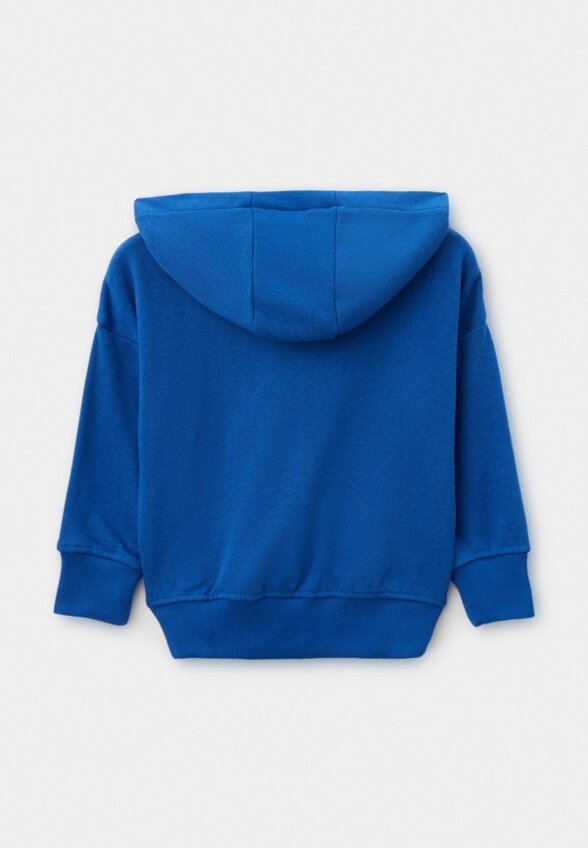 Толстовка Terranova