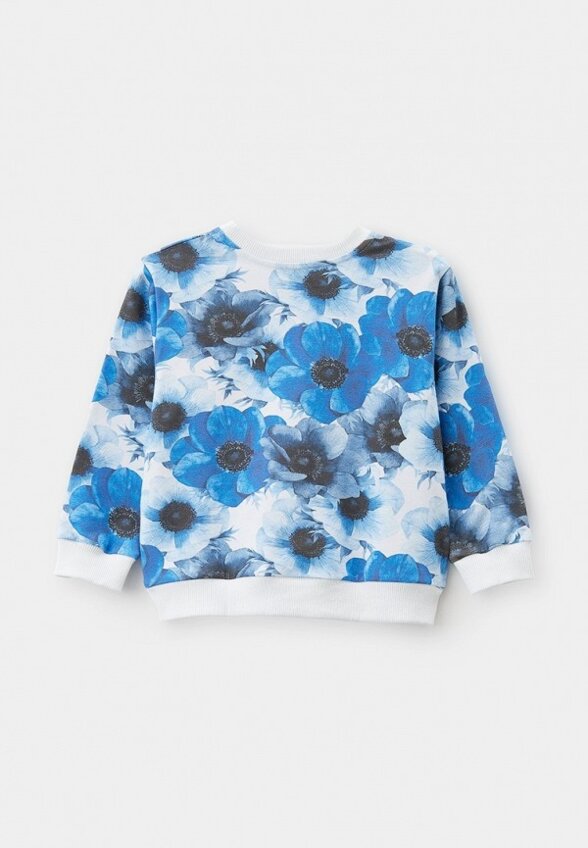 Свитшот Lingora