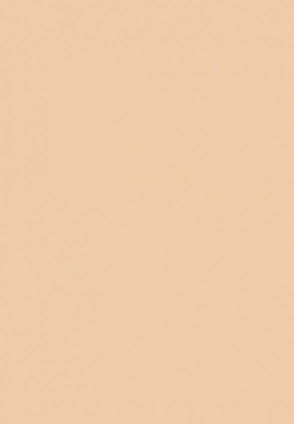 Консилер Limoni