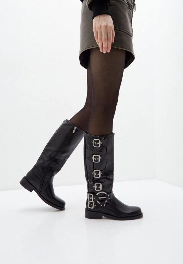 Сапоги Dino Albat