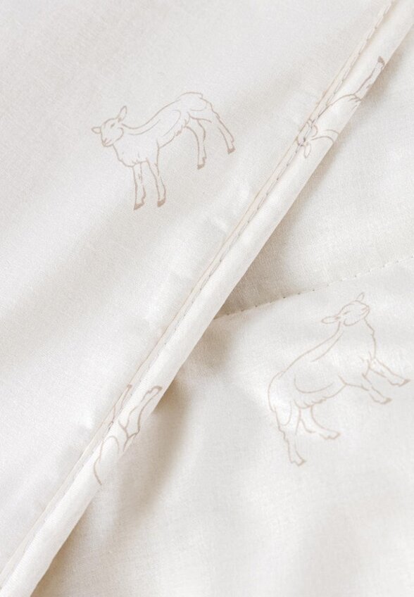 Одеяло Евро Cassia