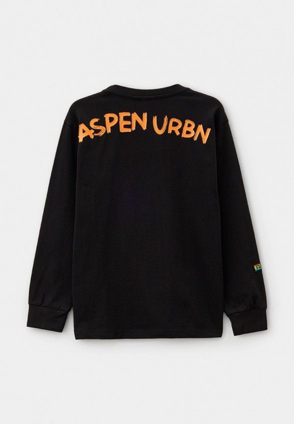 Лонгслив Aspen Polo Club