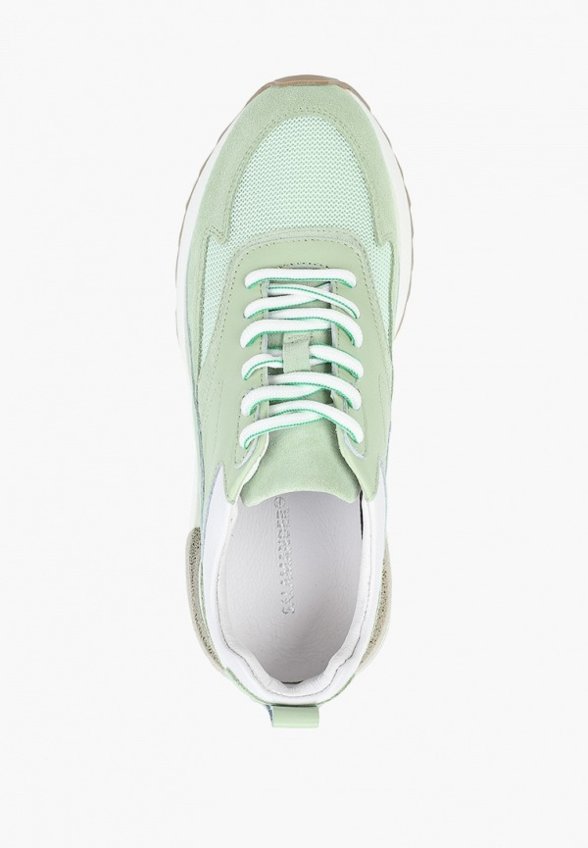 Кроссовки Salamander