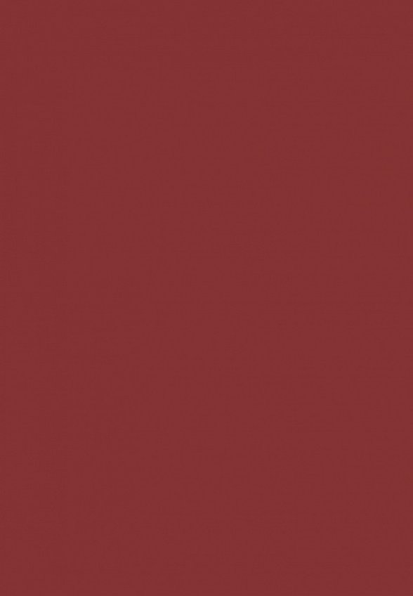 Помада Influence Beauty