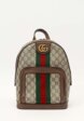 Gucci Ophidia1  - превью