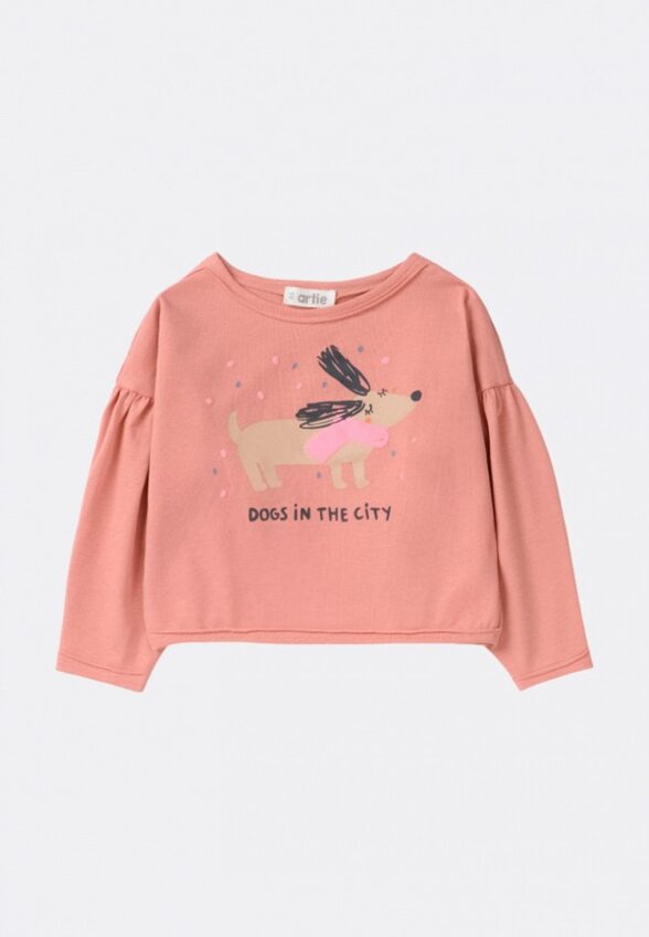 Свитшот Artie