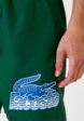 Шорты для плавания Lacoste3  - превью