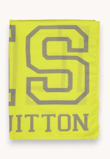 Louis Vuitton Scarf