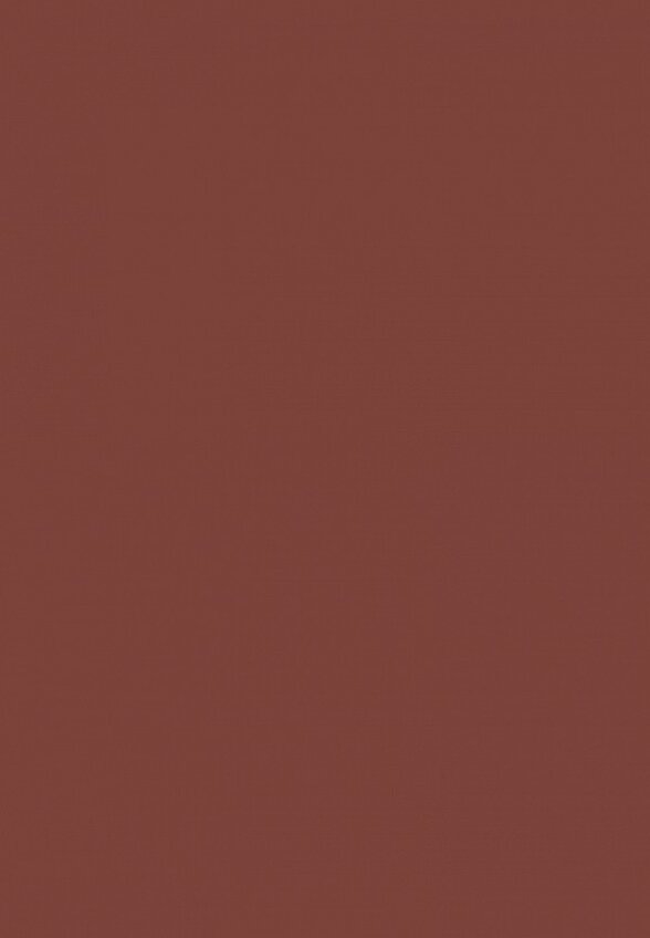 Блеск для губ Funky Monkey