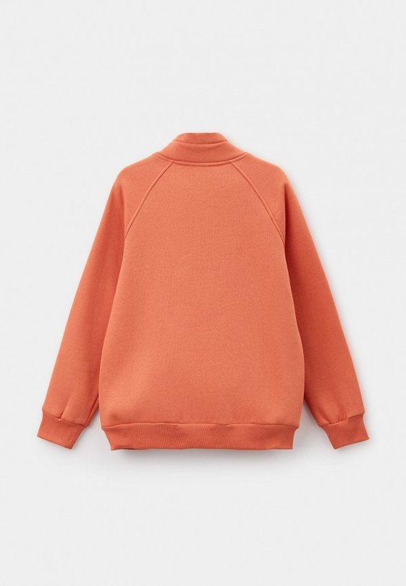 Олимпийка Alpex