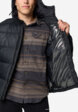 Пуховик мужской Columbia Pike Lake II Hooded Jacket, Черный7  - превью