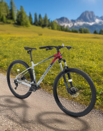 Велосипед горный Polygon Xtrada 5 29", Мультицвет