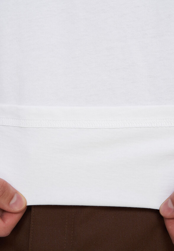 Футболка мужская DICKIES Icon, Белый