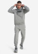 Худи мужское PUMA Ess No. 1 Logo, Серый4  - превью