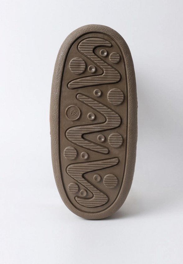 Луноходы La Giostra