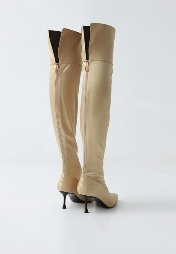 Ботфорты Passegiata