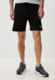 Шорты спортивные PUMA1  - превью