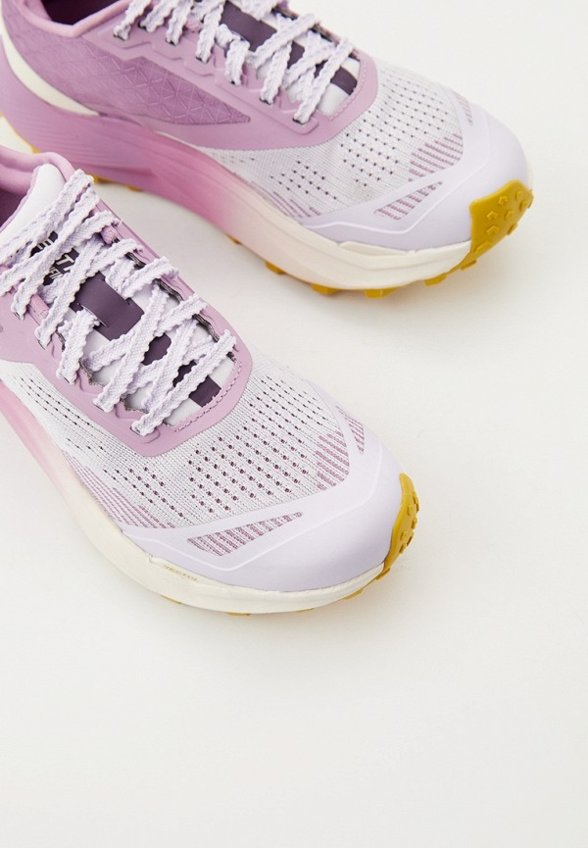 Кроссовки The North Face