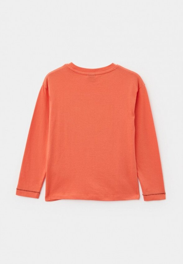 Лонгслив Desigual