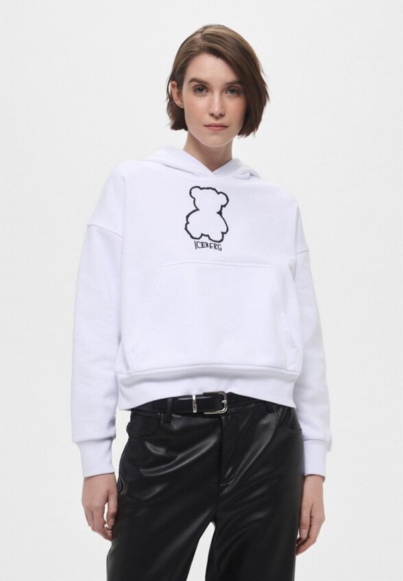 Худи Iceberg