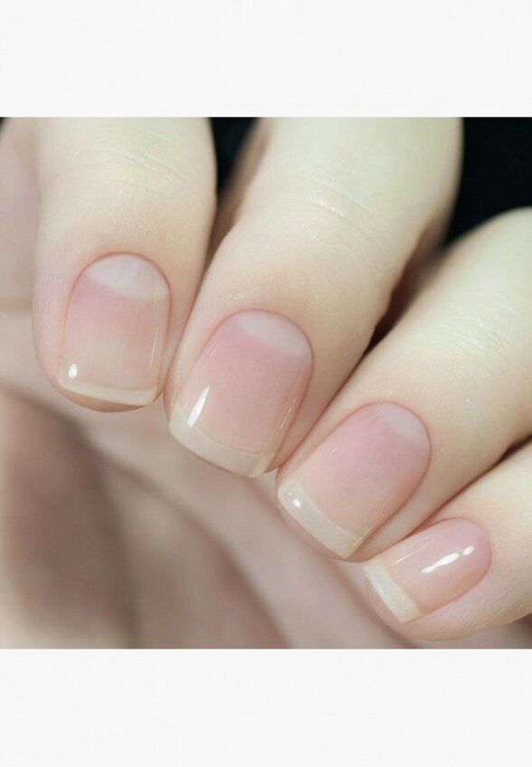 Сушка для лака Masura