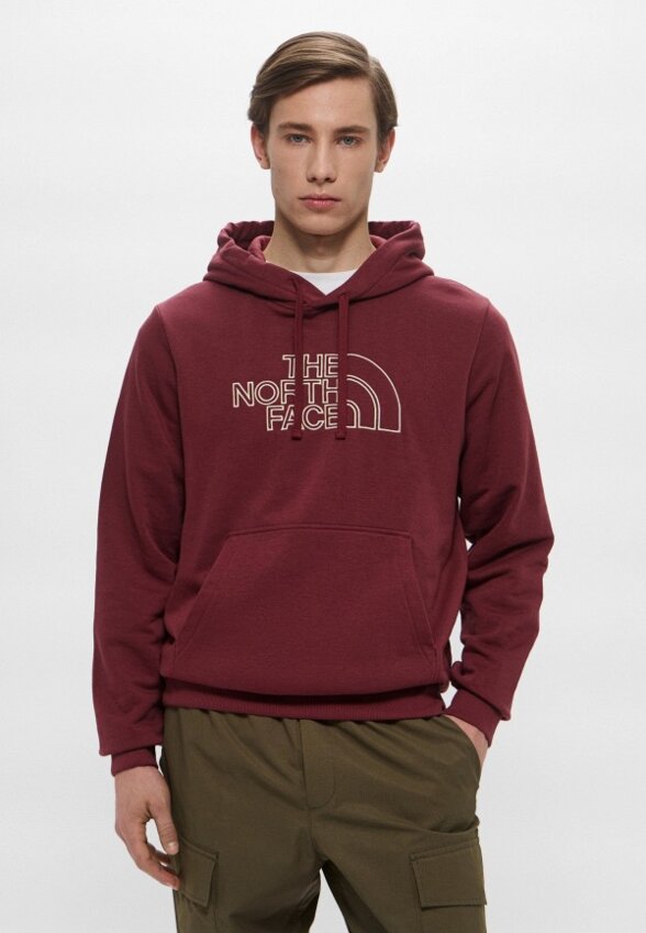 Худи The North Face