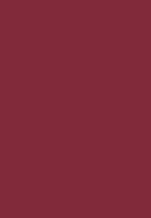 Блеск для губ Ninelle