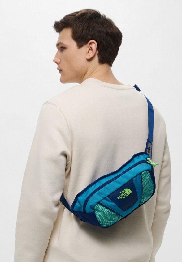 Сумка поясная The North Face