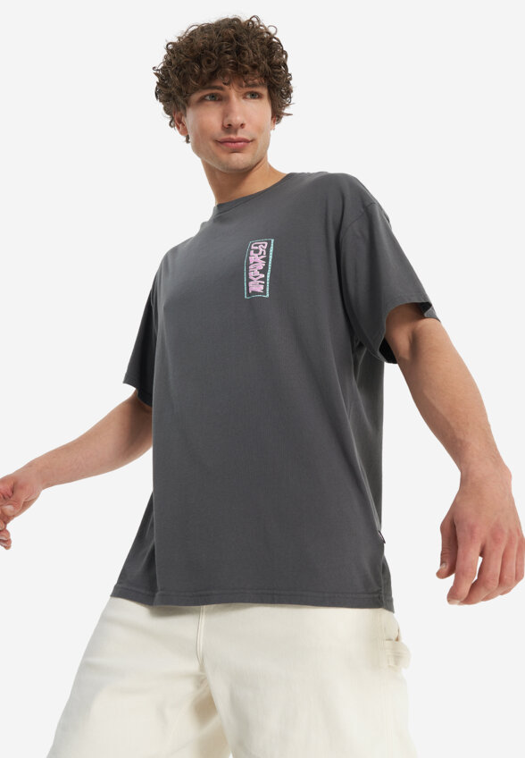 Футболка мужская оверсайз Quiksilver Sunrise Bowl, Серый
